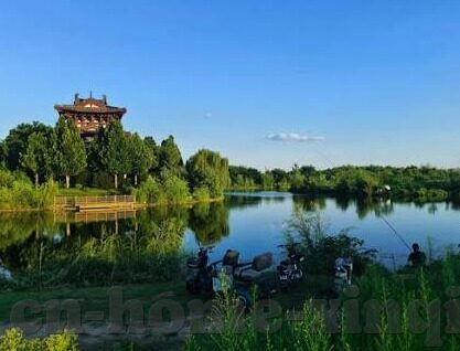 世界杯彩票专家预测-世界杯彩票专家预测，精准策略与数据背后的奥秘
